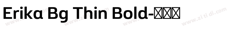 Erika Bg Thin Bold字体转换